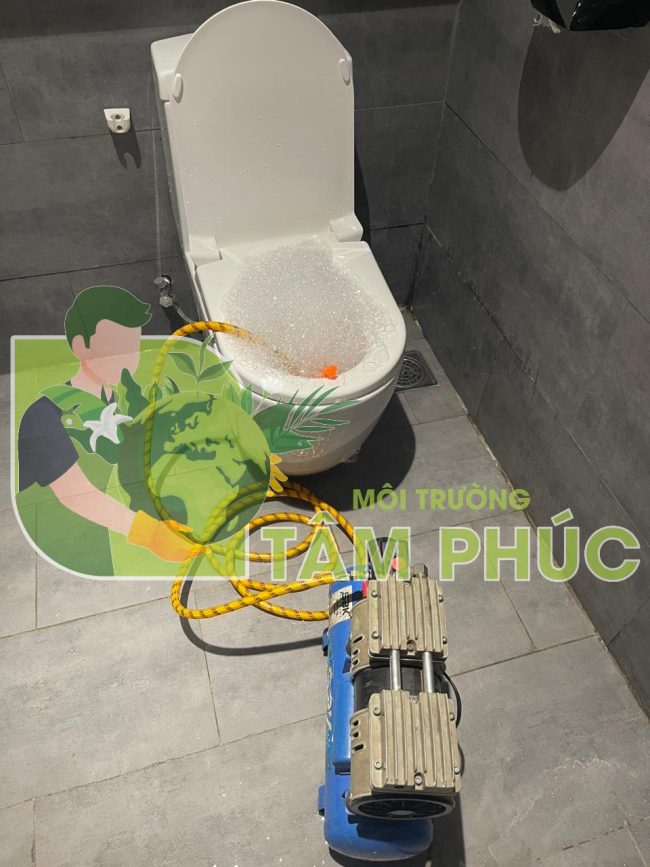 Thông bồn cầu miền Bắc