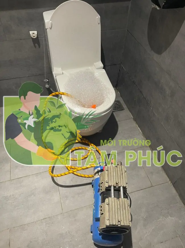 Thông bồn cầu miền Bắc