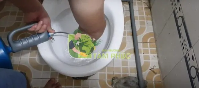 thong tac bon cau tai nha e1734692397425 -