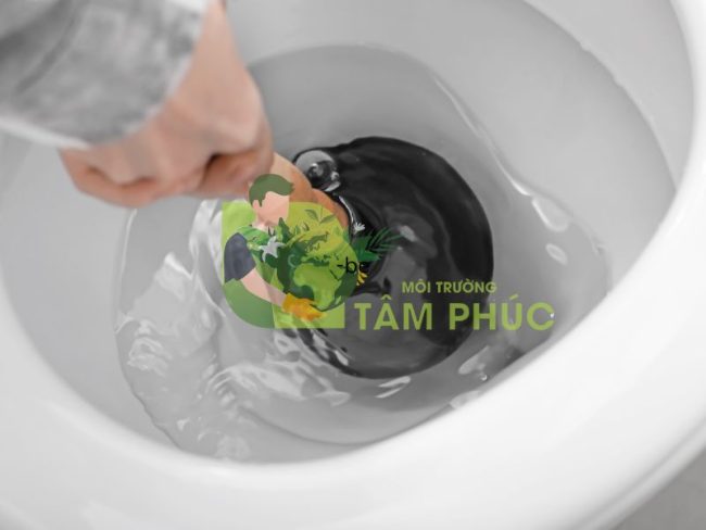 Thong Tac Bon Cau Tai Nam Dinh 1123 e1735142513372 -