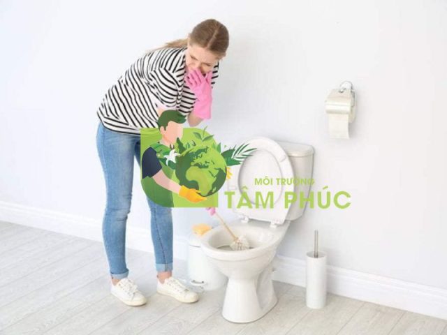 Tìm hiểu về sự phát triển của dịch vụ thông tắc bồn cầu tại Bình Định