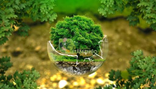 Những câu hỏi thường gặp của khách hàng về thông bồn cầu nghẹt tại Bình Phước