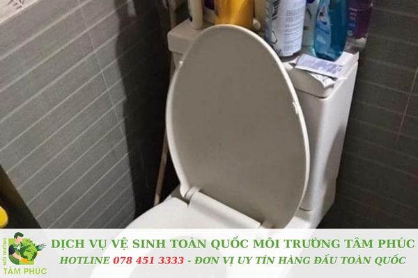 Địa chỉ chi nhánh Môi Trường Tâm Phúc phủ khắp Đà Nẵng