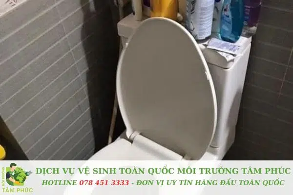 Địa chỉ chi nhánh Môi Trường Tâm Phúc phủ khắp Đà Nẵng