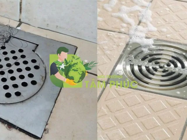 Báo giá dịch vụ thông cống nghẹt tại Bình Định của Môi Trường Tâm Phúc