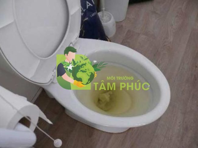 thông tắc bồn cầu tại Thái Nguyên