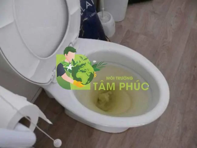 thông tắc bồn cầu tại Thái Nguyên