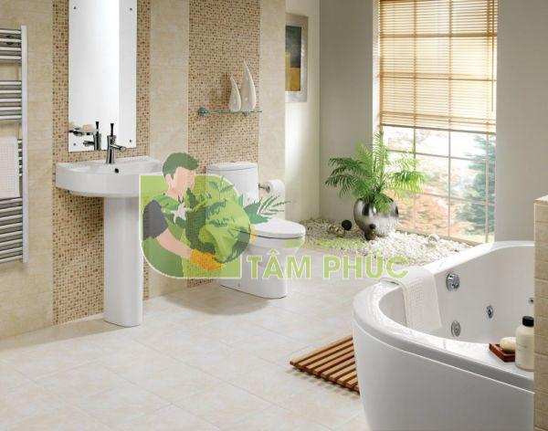Quy trình thông tắc bồn cầu tại Cao Bằng chuyên nghiệp của Môi Trường Tâm Phúc