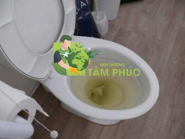 Thông Bồn Cầu Nghẹt Tại Quảng Trị 24/24 - Uy Tín - BH 2 Năm 1 Thông Bồn Cầu Nghẹt Tại Quảng Trị