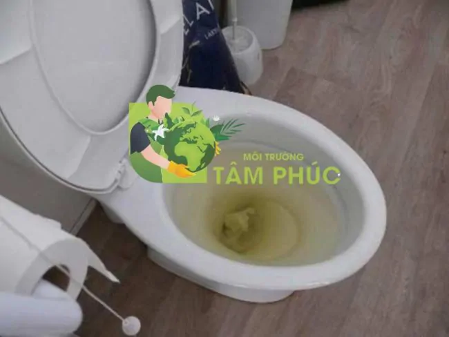 Thông Bồn Cầu Nghẹt Tại Quảng Trị 