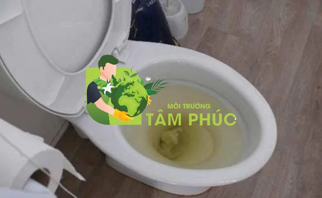 Thông Tắc Bồn Cầu Tại Hà Giang