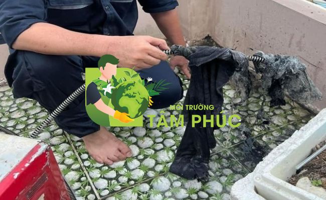 Thông Tắc Cống Tại Kiến Thụy