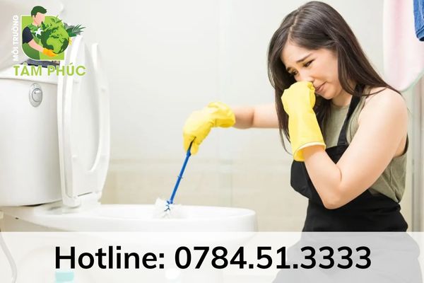Xử lý tình huống hút hầm cầu tại Thủ Dầu Một