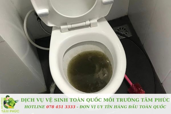 Không xả giấy vệ sinh dày