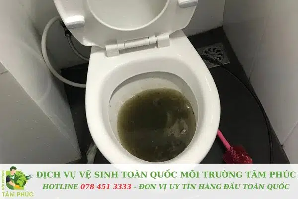 Không xả giấy vệ sinh dày