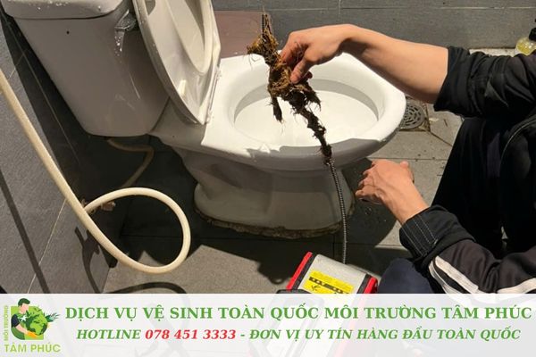 Cam kết của Môi Trường Tâm Phúc ban đầu từ đội ngũ chuyên nghiệp
