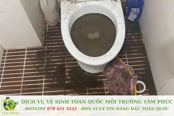 Thông Bồn Cầu Nghẹt Tại Long An 24/7 Phục Vụ Uy Tín 2 Bồn cầu xả nước yếu, trào ngược chất thải