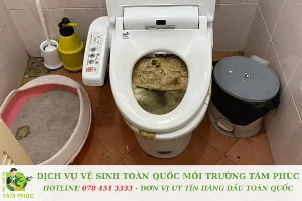 Tình trạng bồn cầu nghẹt tại Sóc Trăng