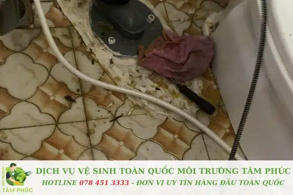 Nguyên nhân phổ biến gây nghẹt đường ống, ống cống tại Bạc Liêu