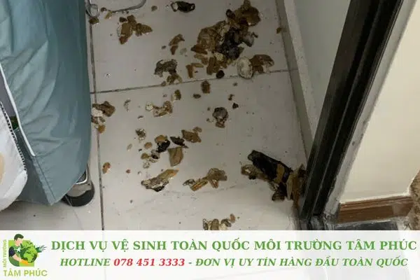 Các cam kết của Môi Trường Tâm Phúc về đơn vị thông cống nghẹt tại Vĩnh Long