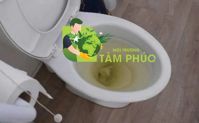 thông bồn cầu nghẹt tại Hương Trà