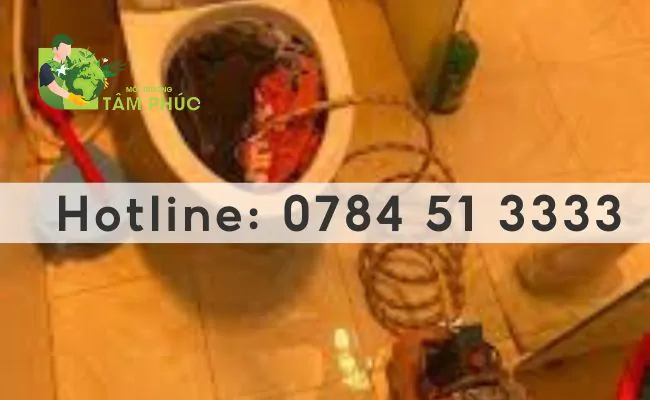 thông bồn cầu nghẹt tại Tân Châu