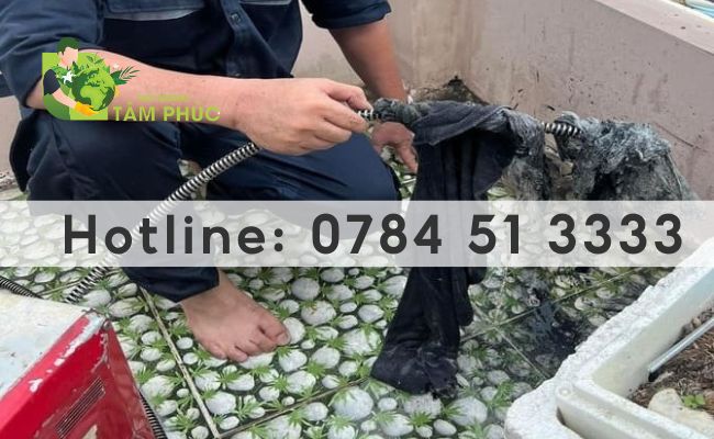 thông cống nghẹt tại thành phố Huế