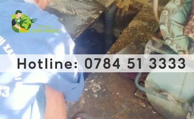 hút hầm cầu tại Trảng Bàng