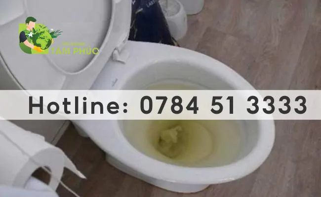 thông bồn cầu nghẹt tại Tân Châu