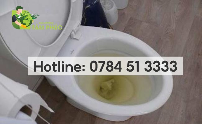 thông bồn cầu nghẹt tại Định Quán