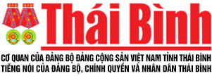 bao thai binh -