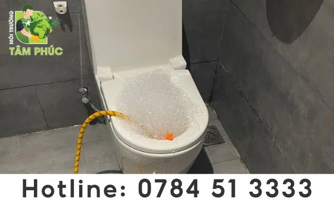 thông tắc bồn cầu tại Kiến Thụy - Hải Phòng