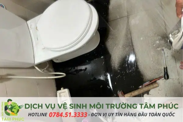 hut-ham-cau-tai-binh-minh