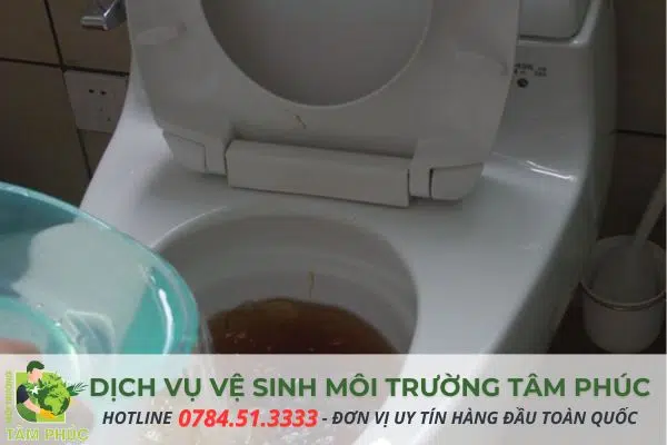 hut-ham-cau-tai-cai-nhum