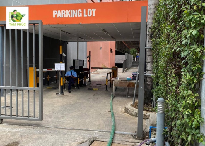 hut ham cau tai long xuyen tay 6 -