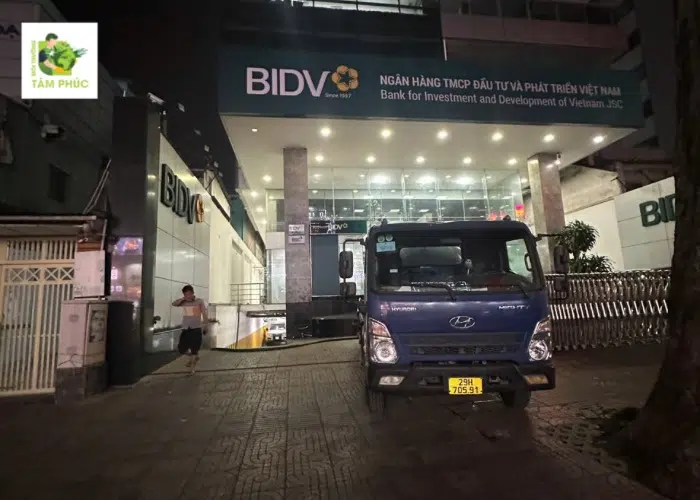 Hút Hầm Cầu tại Phú Hòa, An Giang - An Toàn và Triệt Để 99% 4 hut ham cau tai phu hoa 3 2 -