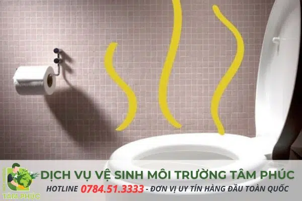 hut ham cau tai phuoc hau 5 -