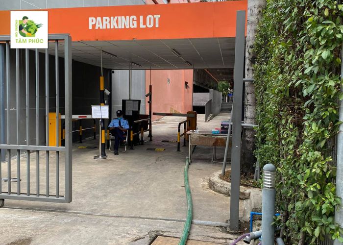 hut ham cau tai thanh duc 4 1 -