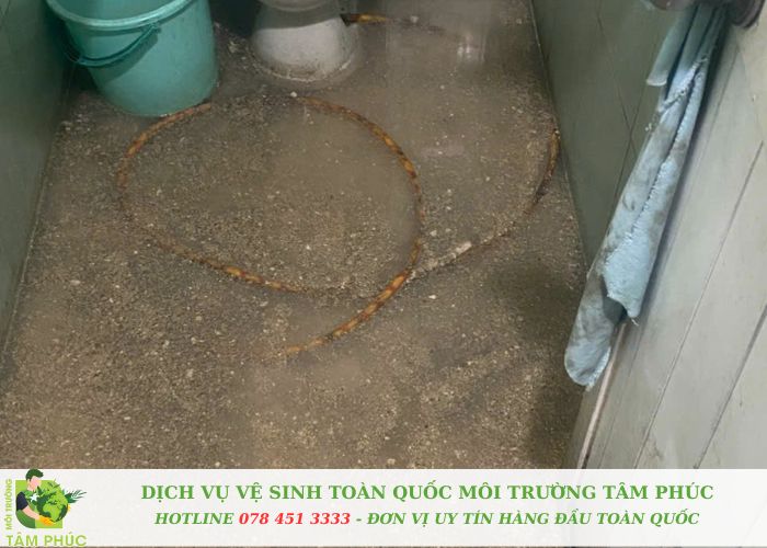 Thong tac cong tai Ba Vi Moi Truong Tam Phuc -