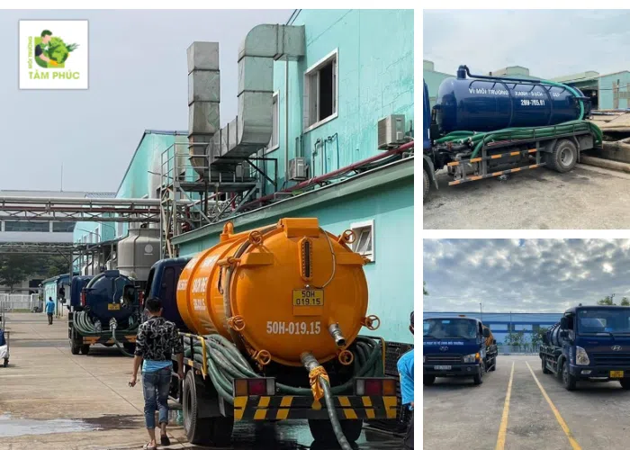 Hút hầm cầu tại TPHCM giá từ 300k/1m3, 15P có mặt, BH 5 năm 10 hut-ham-cau-tai-tphcm