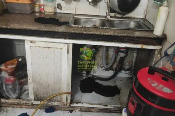 Thông cống nghẹt tại Quận 5 - Sạch sâu 100%, BH 1 năm 9 Hình ảnh thực tế triển khai dịch vụ thông cống nghẹt tại Quận 5 của đơn vị uy tín Tâm Phúc