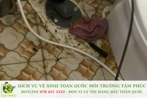 Thông cống nghẹt tại Quận 8