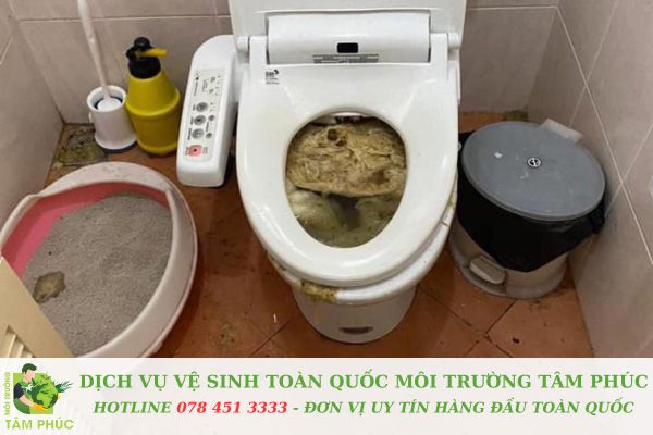 Thông bồn cầu nghẹt tại Quận 5 - Phục vụ 24/7, hỗ trợ nhiệt tình 6 Thông bồn cầu nghẹt tại Quận 5