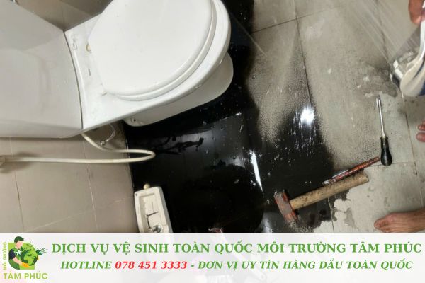 Thông bồn cầu nghẹt tại Quận 6 - Triệt để, kĩ lưỡng 2 Thông bồn cầu nghẹt tại Quận 6