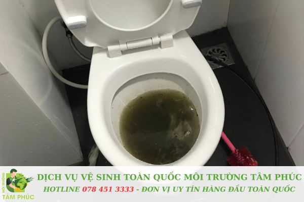 Thông bồn cầu nghẹt tại Quận Bình Tân uy tín số 1 6 Thông bồn cầu nghẹt tại Quận Bình Tân