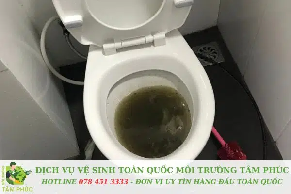 Thông bồn cầu nghẹt tại Quận Bình Thạnh