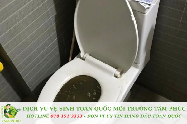 Thông bồn cầu nghẹt tại Quận Phú Nhuận - Phục vụ 24/7, sạch 100% 12 Thông bồn cầu nghẹt tại Quận Phú Nhuận