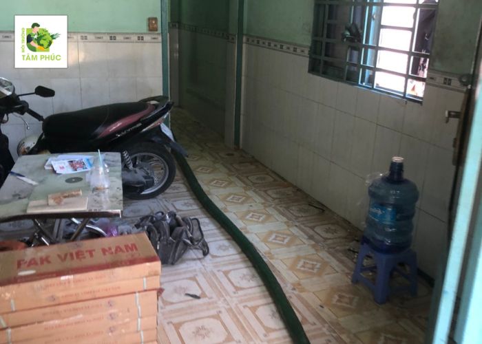 hut ham cau tai an chau -