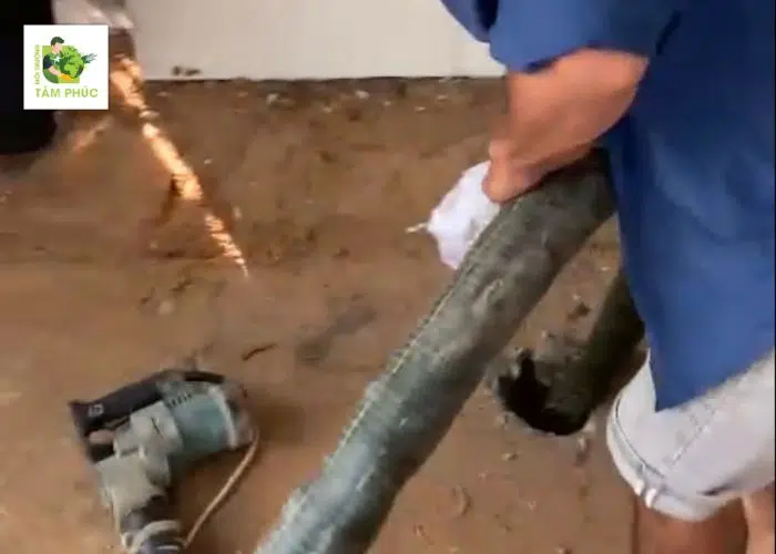 Hút Hầm Cầu tại Ba Chúc (An Giang) 24/7 BH Đến 5 Năm 4 hut ham cau tai ba chuc 3 -