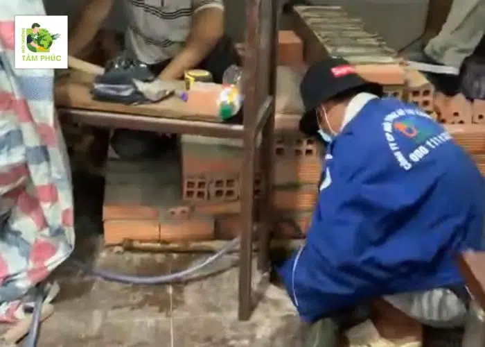 Hút Hầm Cầu tại Ba Chúc (An Giang) 24/7 BH Đến 5 Năm 3 hut ham cau tai ba chuc 4 -